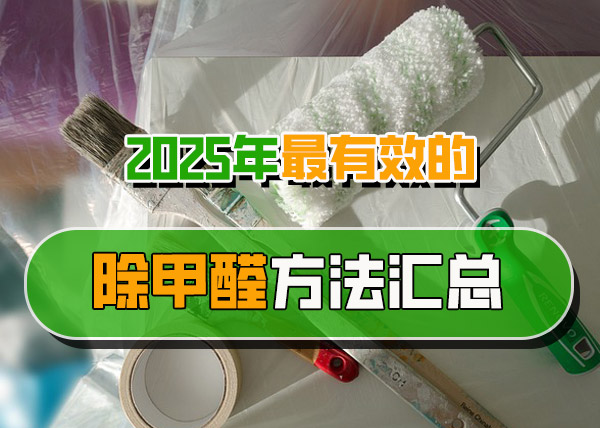 2025年最有效的除甲醛方法汇总