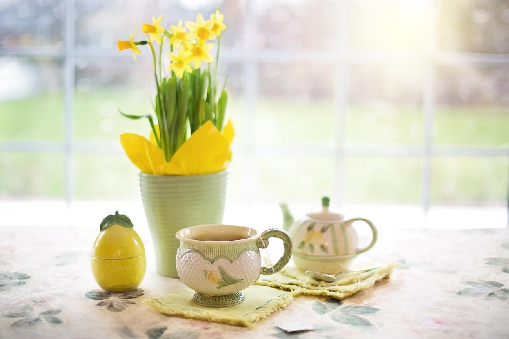 daffodils-1316127_1280.jpg