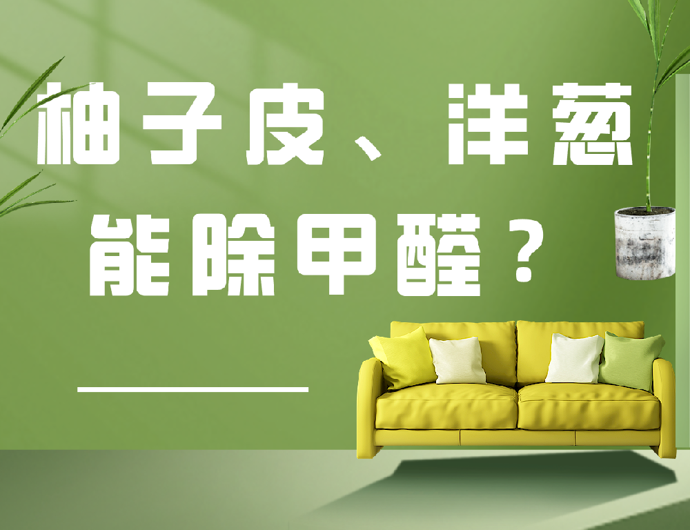 柚子皮、洋葱能除甲醛？别再交智商税了
