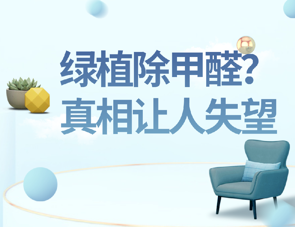 绿植除甲醛？真相让人失望